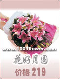 flower devery shenzhen