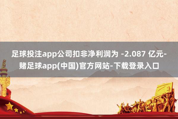 足球投注app公司扣非净利润为 -2.087 亿元-赌足球app(中国)官方网站-下载登录入口
