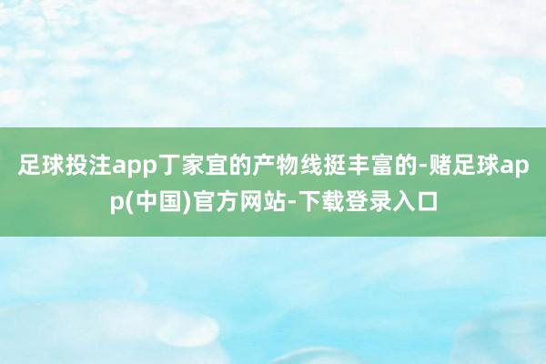 足球投注app丁家宜的产物线挺丰富的-赌足球app(中国)官方网站-下载登录入口