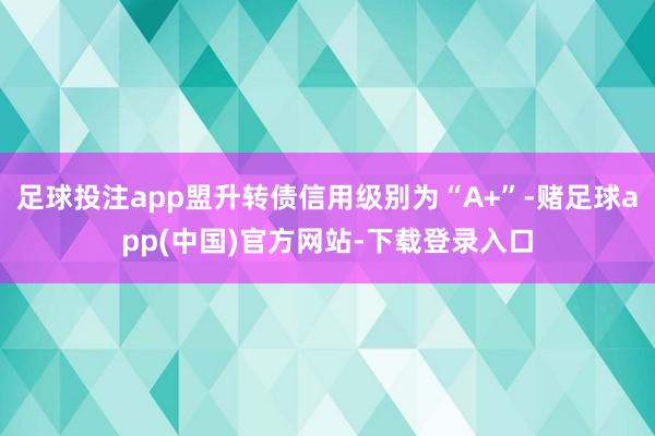 足球投注app盟升转债信用级别为“A+”-赌足球app(中国)官方网站-下载登录入口