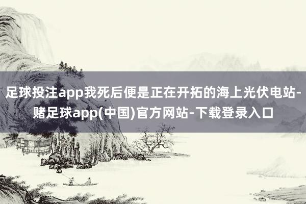 足球投注app我死后便是正在开拓的海上光伏电站-赌足球app(中国)官方网站-下载登录入口