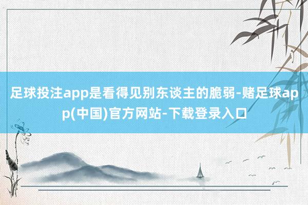 足球投注app是看得见别东谈主的脆弱-赌足球app(中国)官方网站-下载登录入口