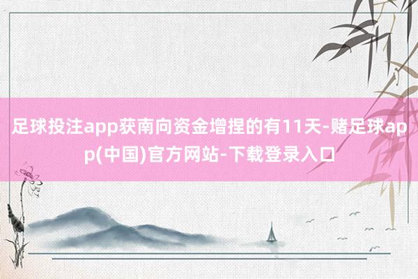 足球投注app获南向资金增捏的有11天-赌足球app(中国)官方网站-下载登录入口