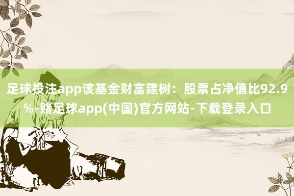 足球投注app该基金财富建树：股票占净值比92.9%-赌足球app(中国)官方网站-下载登录入口
