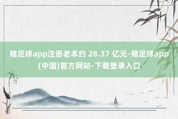 赌足球app注册老本约 28.37 亿元-赌足球app(中国)官方网站-下载登录入口