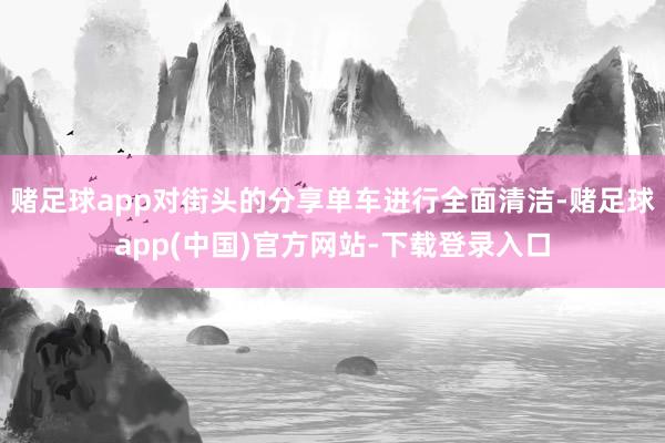 赌足球app对街头的分享单车进行全面清洁-赌足球app(中国)官方网站-下载登录入口