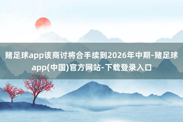 赌足球app该商讨将合手续到2026年中期-赌足球app(中国)官方网站-下载登录入口
