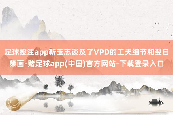 足球投注app靳玉志谈及了VPD的工夫细节和翌日策画-赌足球app(中国)官方网站-下载登录入口