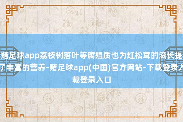 赌足球app荔枝树落叶等腐殖质也为红松茸的滋长提供了丰富的营养-赌足球app(中国)官方网站-下载登录入口