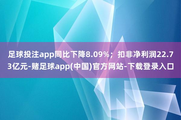 足球投注app同比下降8.09%；扣非净利润22.73亿元-赌足球app(中国)官方网站-下载登录入口