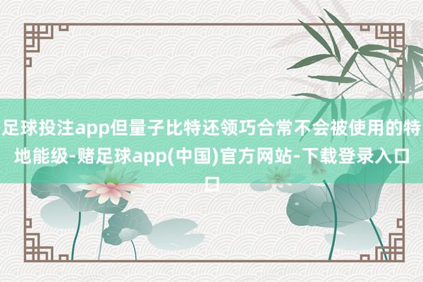 足球投注app但量子比特还领巧合常不会被使用的特地能级-赌足球app(中国)官方网站-下载登录入口