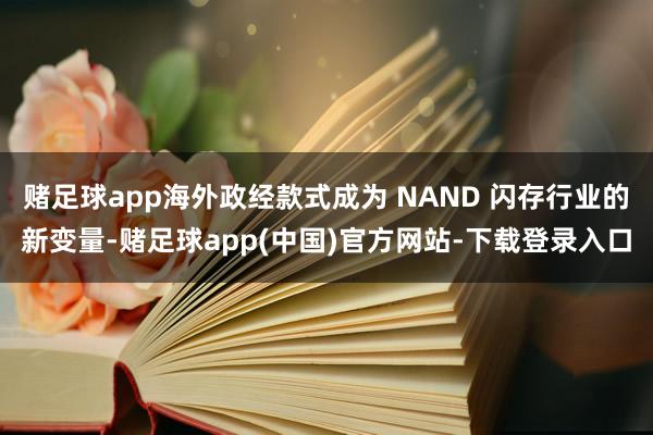 赌足球app海外政经款式成为 NAND 闪存行业的新变量-赌足球app(中国)官方网站-下载登录入口