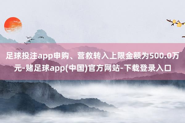足球投注app申购、营救转入上限金额为500.0万元-赌足球app(中国)官方网站-下载登录入口