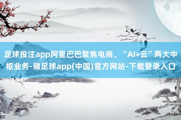 足球投注app阿里巴巴聚焦电商、“AI+云”两大中枢业务-赌足球app(中国)官方网站-下载登录入口