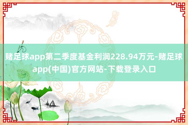 赌足球app第二季度基金利润228.94万元-赌足球app(中国)官方网站-下载登录入口