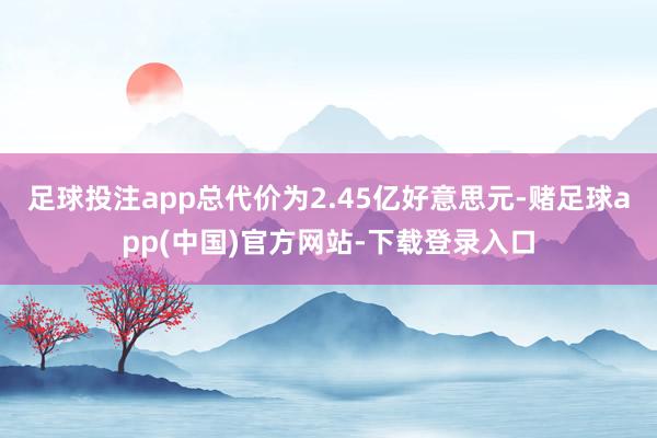 足球投注app总代价为2.45亿好意思元-赌足球app(中国)官方网站-下载登录入口