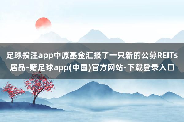 足球投注app中原基金汇报了一只新的公募REITs居品-赌足球app(中国)官方网站-下载登录入口