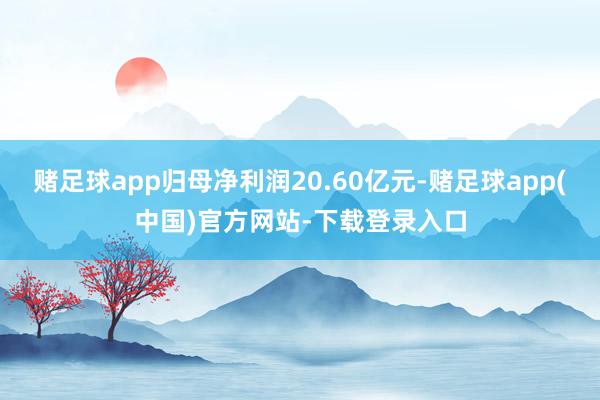 赌足球app归母净利润20.60亿元-赌足球app(中国)官方网站-下载登录入口