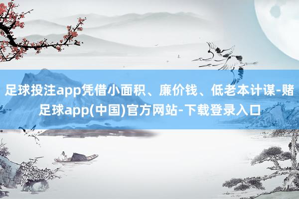 足球投注app凭借小面积、廉价钱、低老本计谋-赌足球app(中国)官方网站-下载登录入口