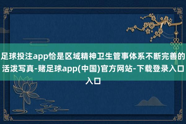 足球投注app恰是区域精神卫生管事体系不断完善的活泼写真-赌足球app(中国)官方网站-下载登录入口