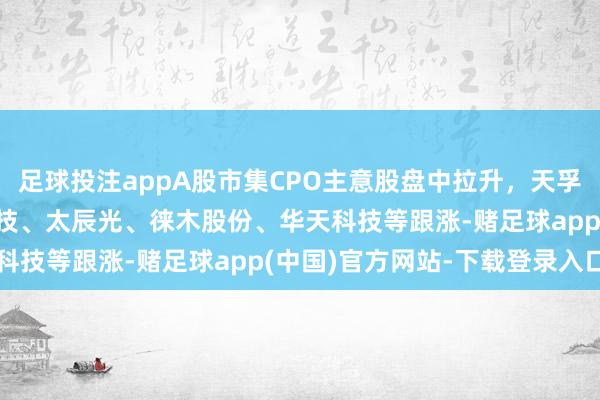 足球投注appA股市集CPO主意股盘中拉升,天孚通讯涨超16%,可川科技、太辰光、徕木股份、华天科技等跟涨-赌足球app(中国)官方网站-下载登录入口