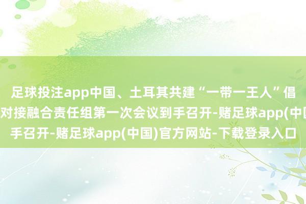 足球投注app中国、土耳其共建“一带一王人”倡议和“中间走廊”倡议对接融合责任组第一次会议到手召开-赌足球app(中国)官方网站-下载登录入口