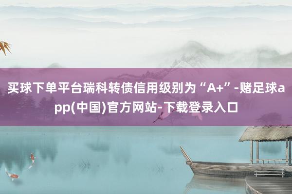 买球下单平台瑞科转债信用级别为“A+”-赌足球app(中国)官方网站-下载登录入口
