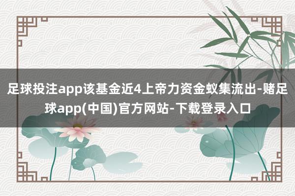 足球投注app该基金近4上帝力资金蚁集流出-赌足球app(中国)官方网站-下载登录入口
