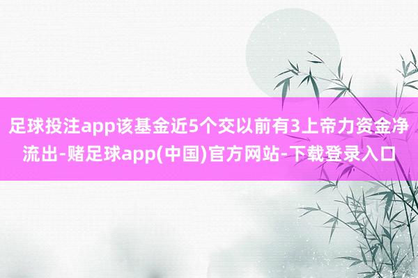 足球投注app该基金近5个交以前有3上帝力资金净流出-赌足球app(中国)官方网站-下载登录入口
