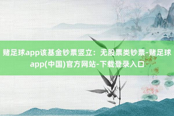 赌足球app该基金钞票竖立：无股票类钞票-赌足球app(中国)官方网站-下载登录入口