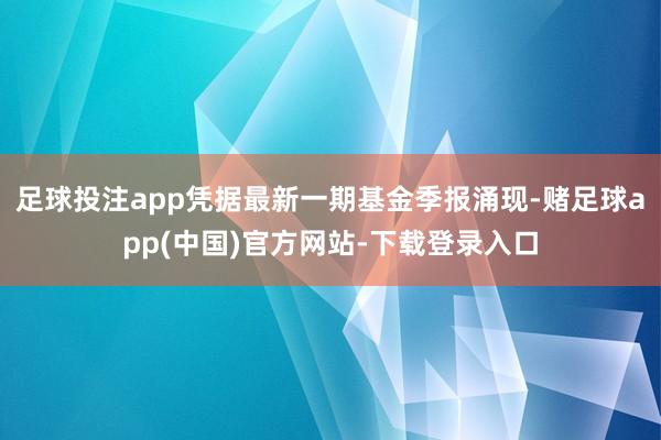 足球投注app凭据最新一期基金季报涌现-赌足球app(中国)官方网站-下载登录入口