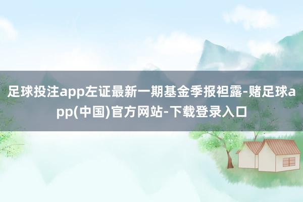 足球投注app左证最新一期基金季报袒露-赌足球app(中国)官方网站-下载登录入口