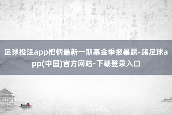 足球投注app把柄最新一期基金季报暴露-赌足球app(中国)官方网站-下载登录入口